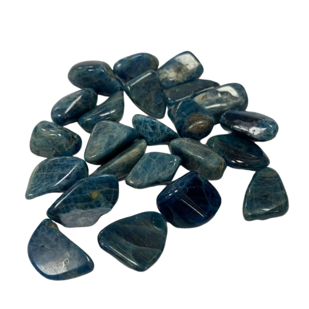 Blue Apatite - Reiki infused tumbled stones