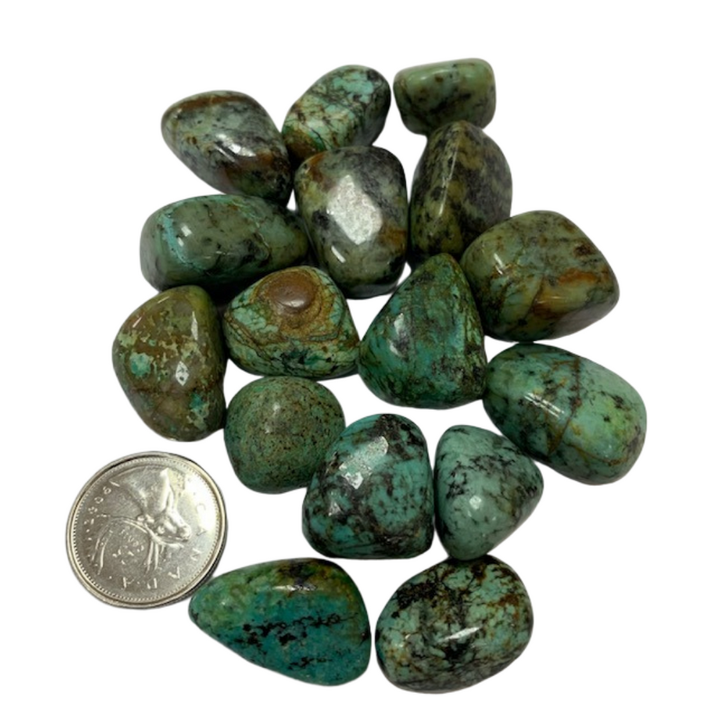 African Turquoise - Reiki infused tumbled stones