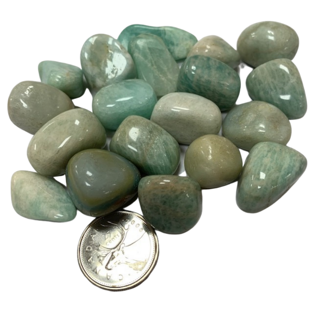 Amazonite - Reiki infused tumbled stones