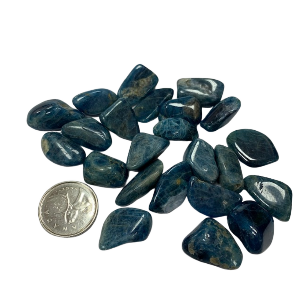 Blue Apatite - Reiki infused tumbled stones