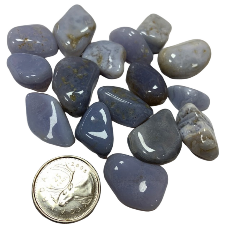 Blue Lace Agate - Reiki infused tumbled stones