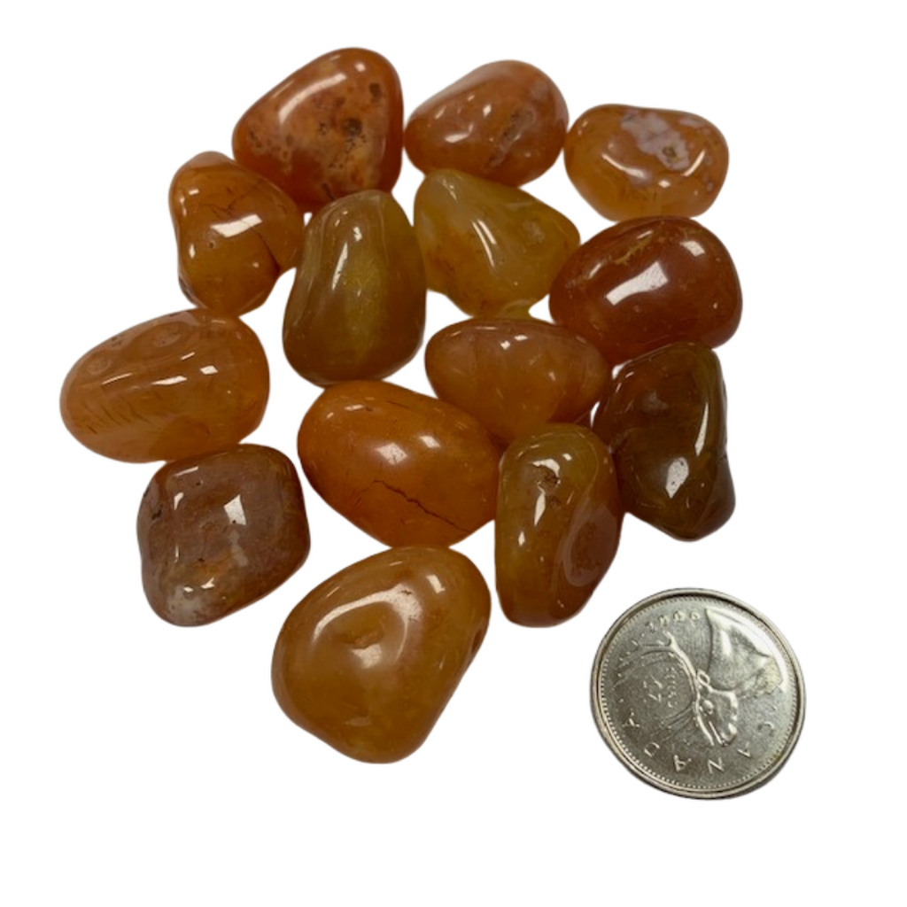 Carnelian - Reiki infused tumbled stones