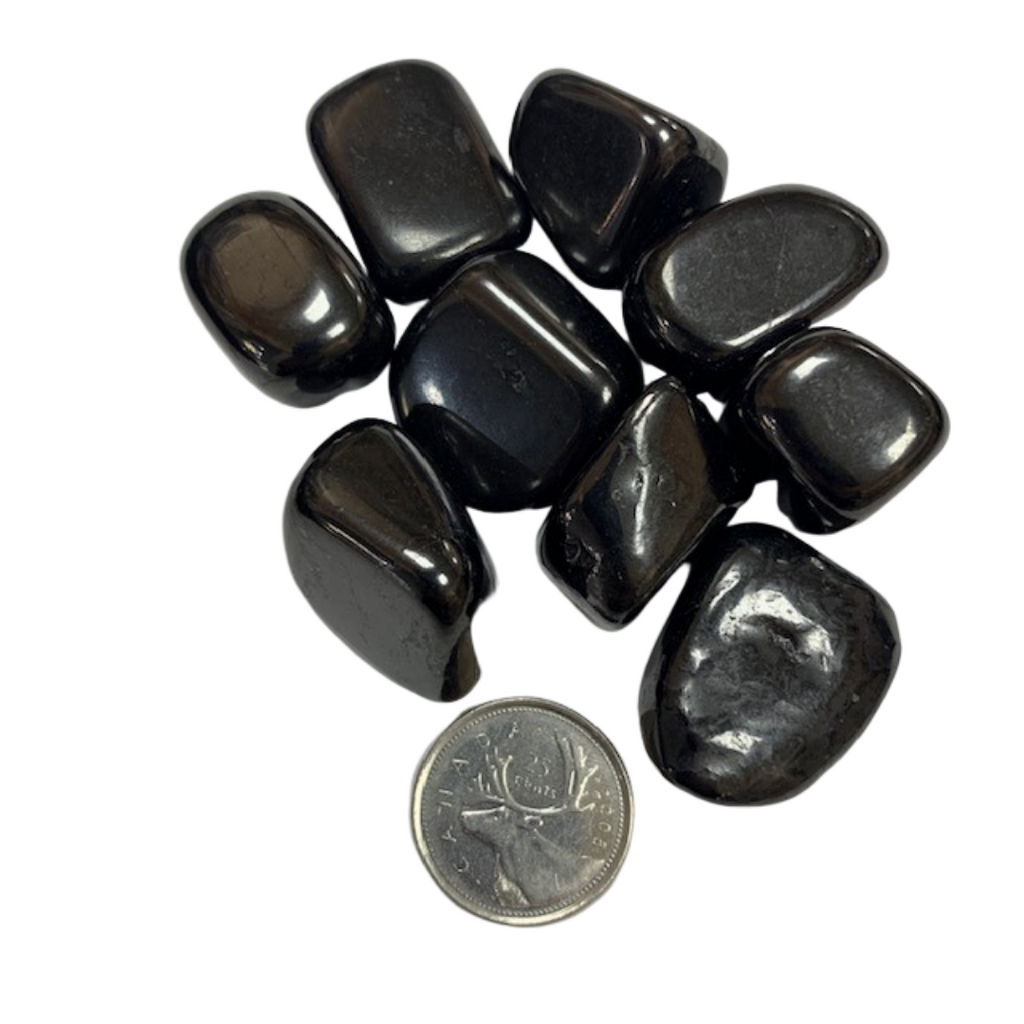 Shungite - Reiki infused tumbled stones