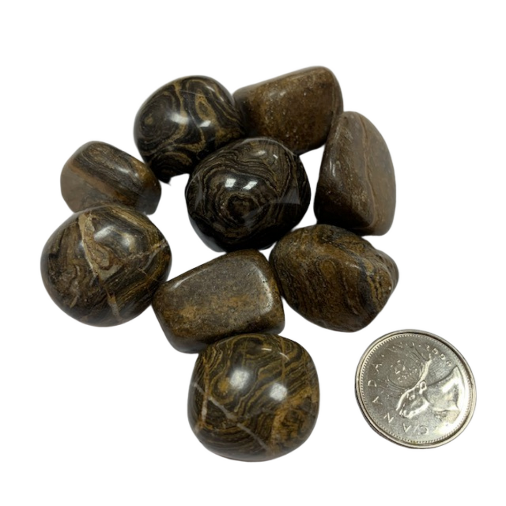 Stromatolite - Reiki infused tumbled stones